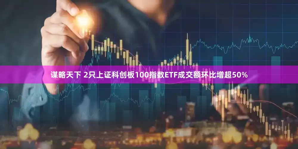 谋略天下 2只上证科创板100指数ETF成交额环比增超50%