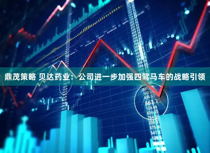 鼎茂策略 贝达药业：公司进一步加强四驾马车的战略引领